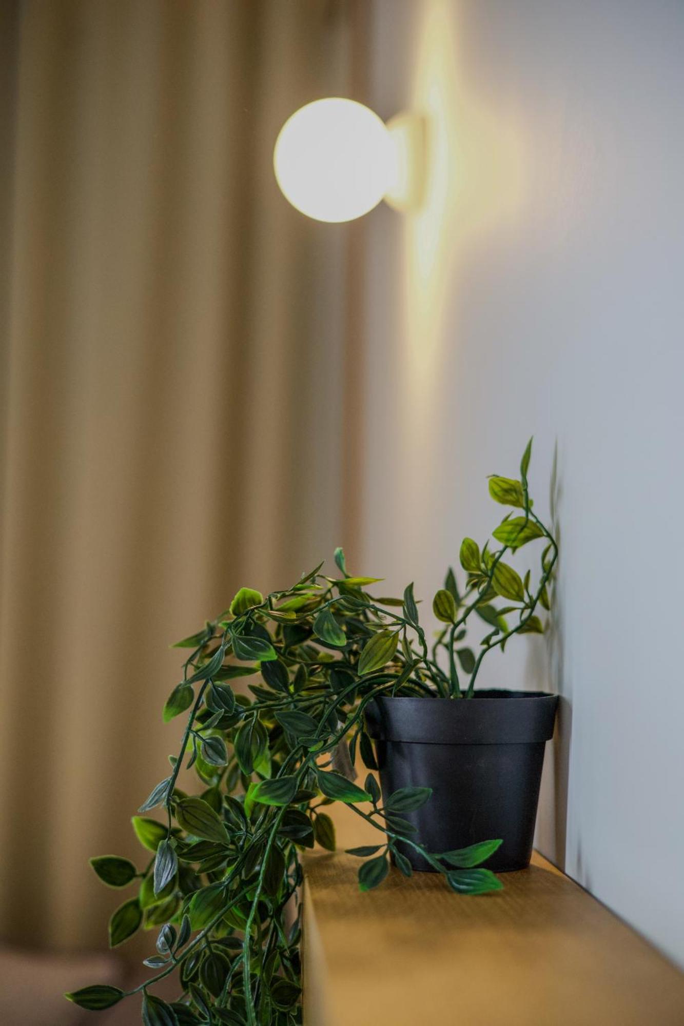Take Me Here With A Sea View By Salt Apartments فولوس المظهر الخارجي الصورة